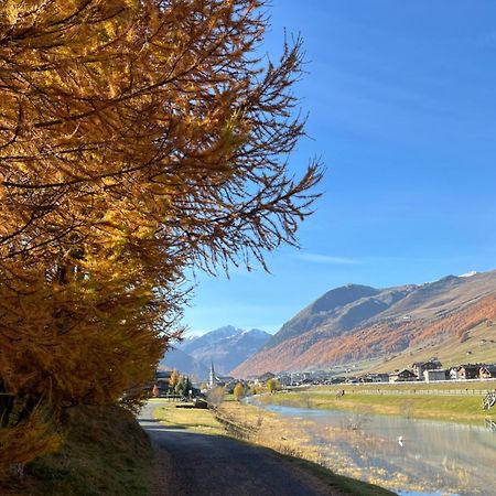 Chalet Shany Livigno Bagian luar foto